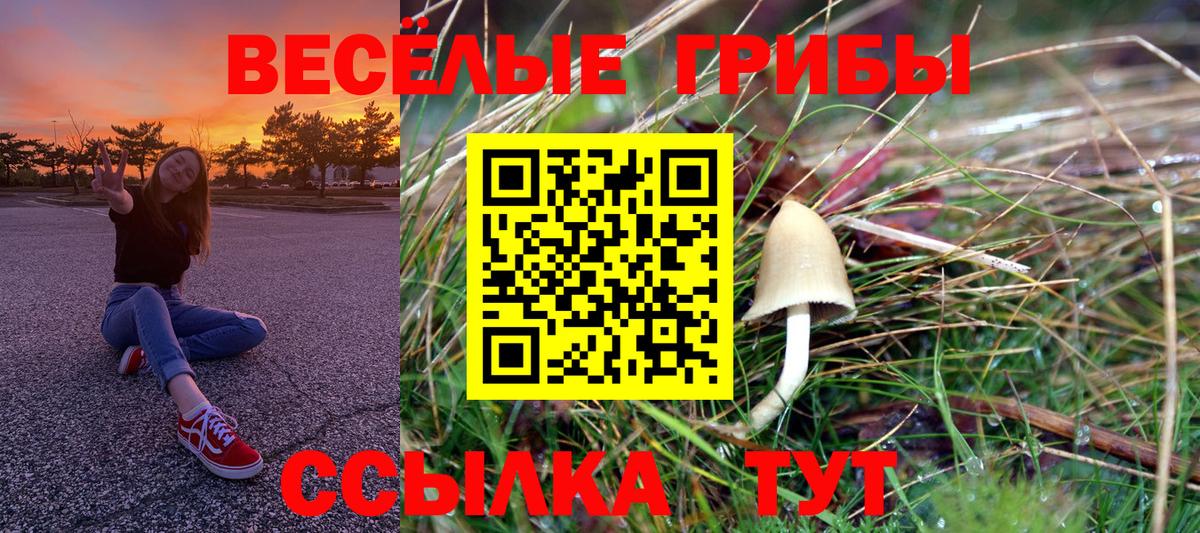 Саянск  Псилоцибиновые грибы мицелий  Вход с VPN 